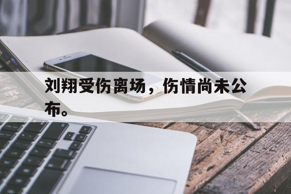 IM电竞app-刘翔受伤离场，伤情尚未公布。