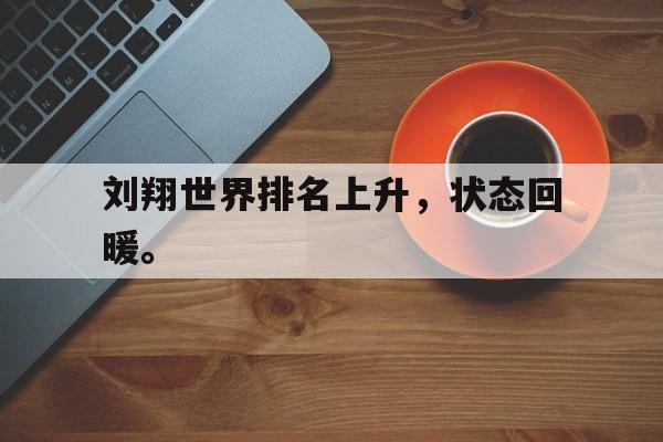 IM体育-刘翔世界排名上升，状态回暖。
