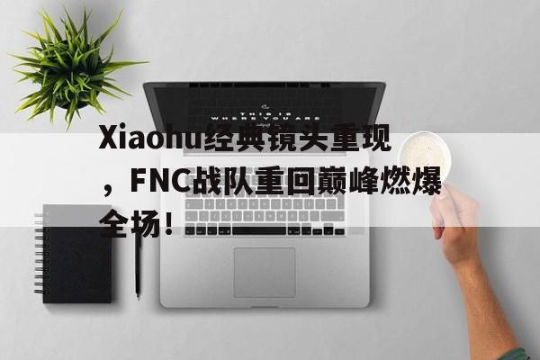 IM电竞下载网址-Xiaohu经典镜头重现，FNC战队重回巅峰燃爆全场！