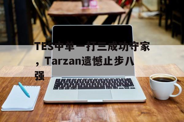IM体育-TES中单一打三成功守家，Tarzan遗憾止步八强